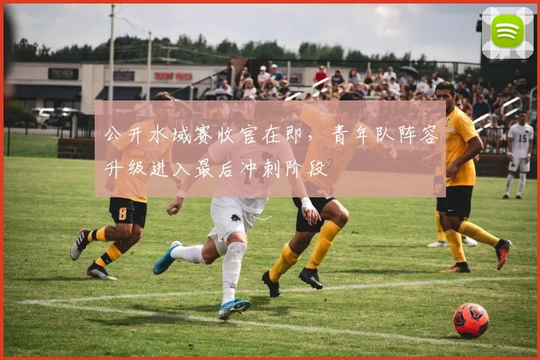 公开水域赛收官在即，青年队阵容升级进入最后冲刺阶段